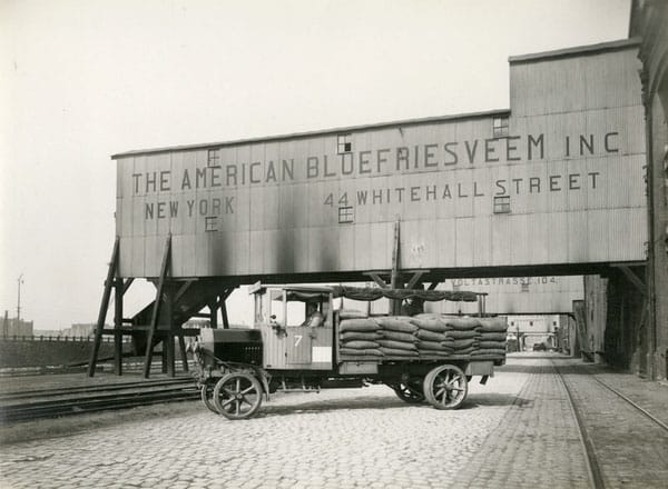 Foto: Bluefries, circa 1919